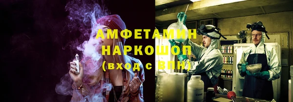 амф Алексин