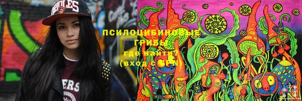 амф Алексин