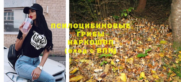 амф Алексин