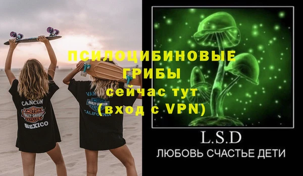 МДПВ Алзамай