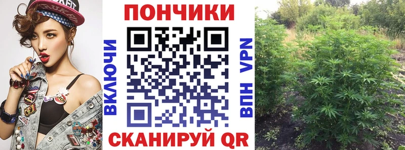 Шишки марихуана White Widow  kraken сайт  Мышкин 